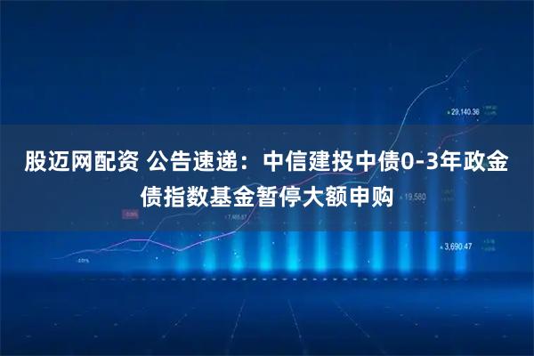 股邁網(wǎng)配資 公告速遞：中信建投中債0-3年政金債指數(shù)基金暫停大額申購(gòu)