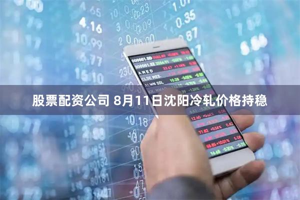 股票配資公司 8月11日沈陽(yáng)冷軋價(jià)格持穩(wěn)
